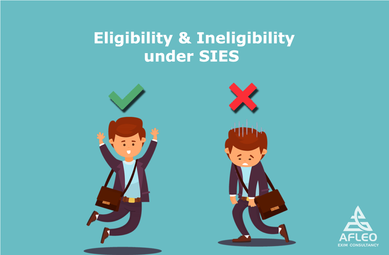 SEIS eligibility criteria